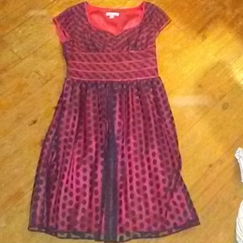 Cold water creek size 10